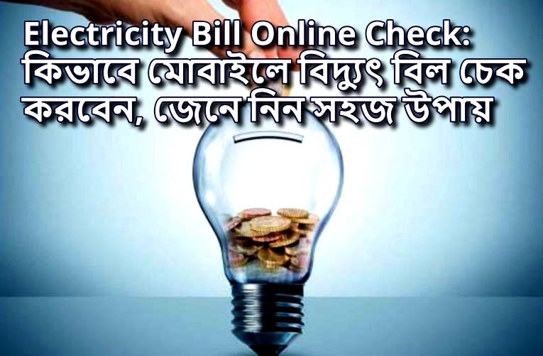 Electricity Bill Online Check: কিভাবে মোবাইলে বিদ্যুৎ বিল চেক করবেন, জেনে নিন সহজ উপায়